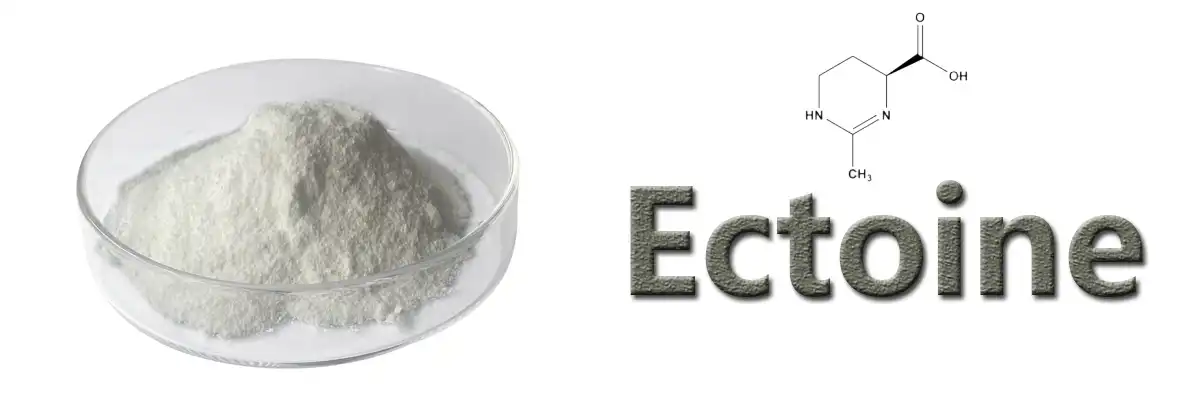 Ectoine Saler.jpg